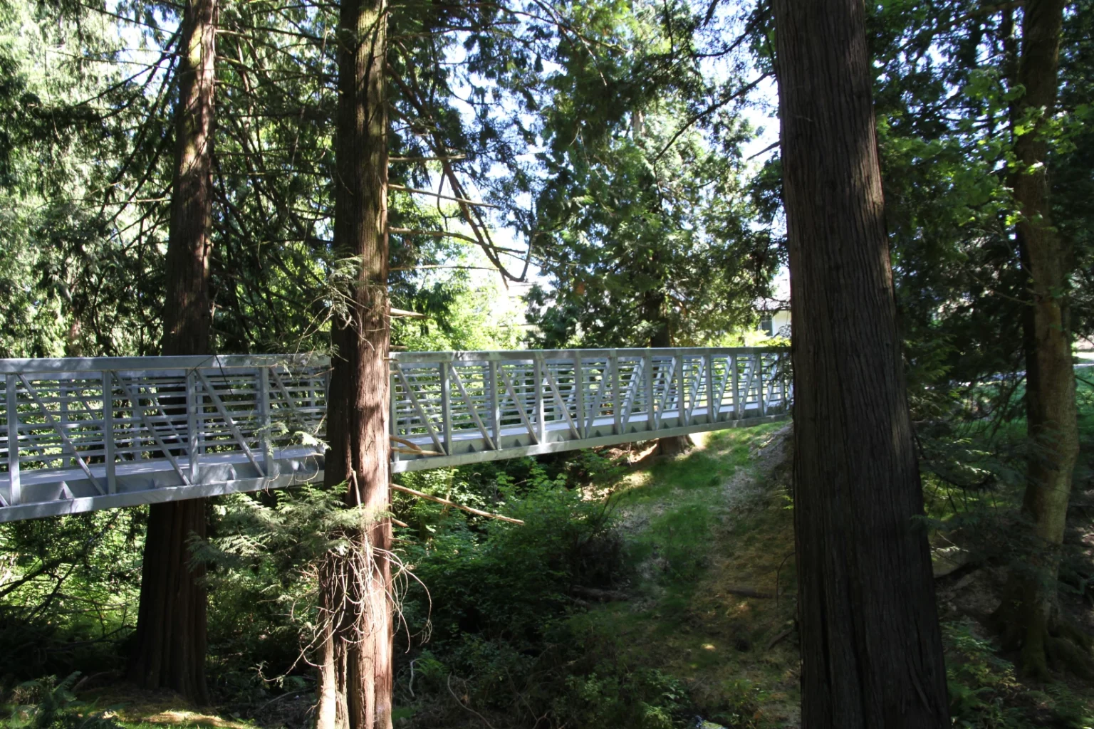 Yorkson Bridge infrastructure